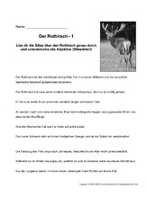 Rothirsch-Adjektive-bestimmen-1.pdf